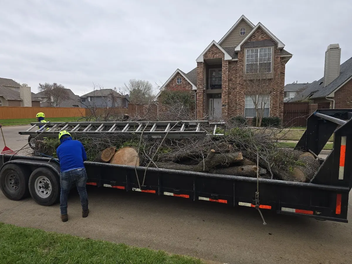 Expert Crown Reduction with proper safety equipment in Terrell